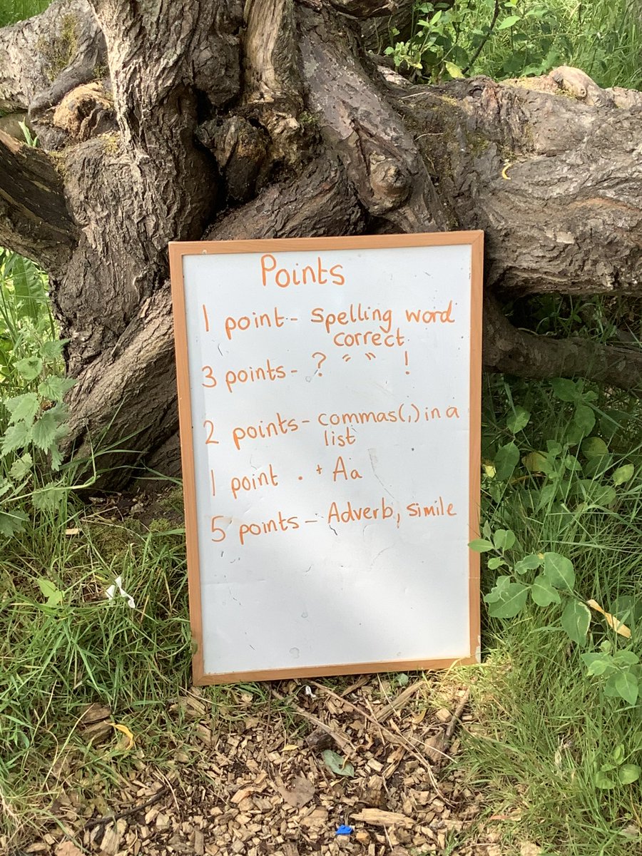 LoirstonPrimary's tweet photo. P4B have been enjoying the lovely weather. Yesterday we took our reading and spelling outside. We worked in pairs to find our spelling words hidden in the trees and we challenged ourselves to write super sentences. https://t.co/aXaPLwXTqb