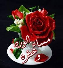 #يوم_الجمعة 🤍
اللهم امنحنا الطمأنينة في أوقات خوفنا، وامنحنا الرضا في أوقات آلامنا، وامنحنا اللطف في صعوبات أيامنا. اللهم احصن قلوبنا واحفظنا،
 وأنزل علينا سعادة من حيث لا نحتسب.🙏🏻💚🪻🍃
#مساء__الخير 
#اللهم_صل_وسلم_على_نبينا_محمد