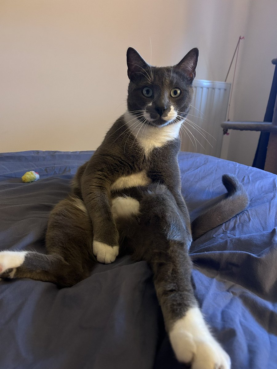 Fleur 🌸🌺 tweet media