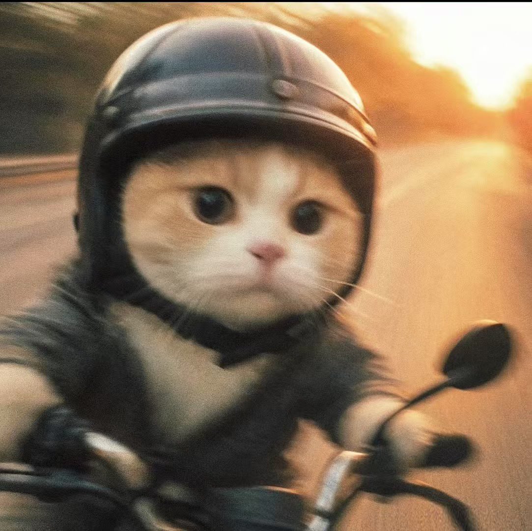 卧槽我发现了一个秘密 
就是霸王茶姬的伯牙绝弦
比他妈的咖啡好用
亲测喝了一杯
已经24小时没睡的我
顶不住顶不住