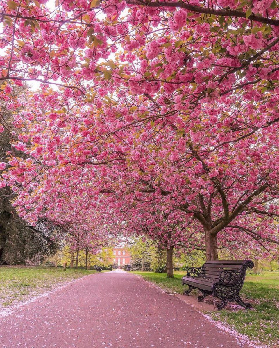 Hello Everyone! 💛 Have a beautiful day  💞🌸💕