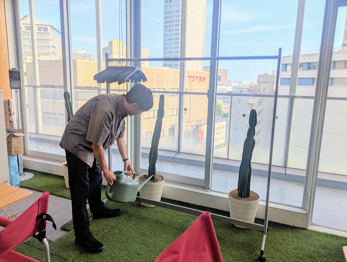 静岡市の #コクリ にサボテンが生えてました🌵空中にサボテンの絵面がとてもいい..