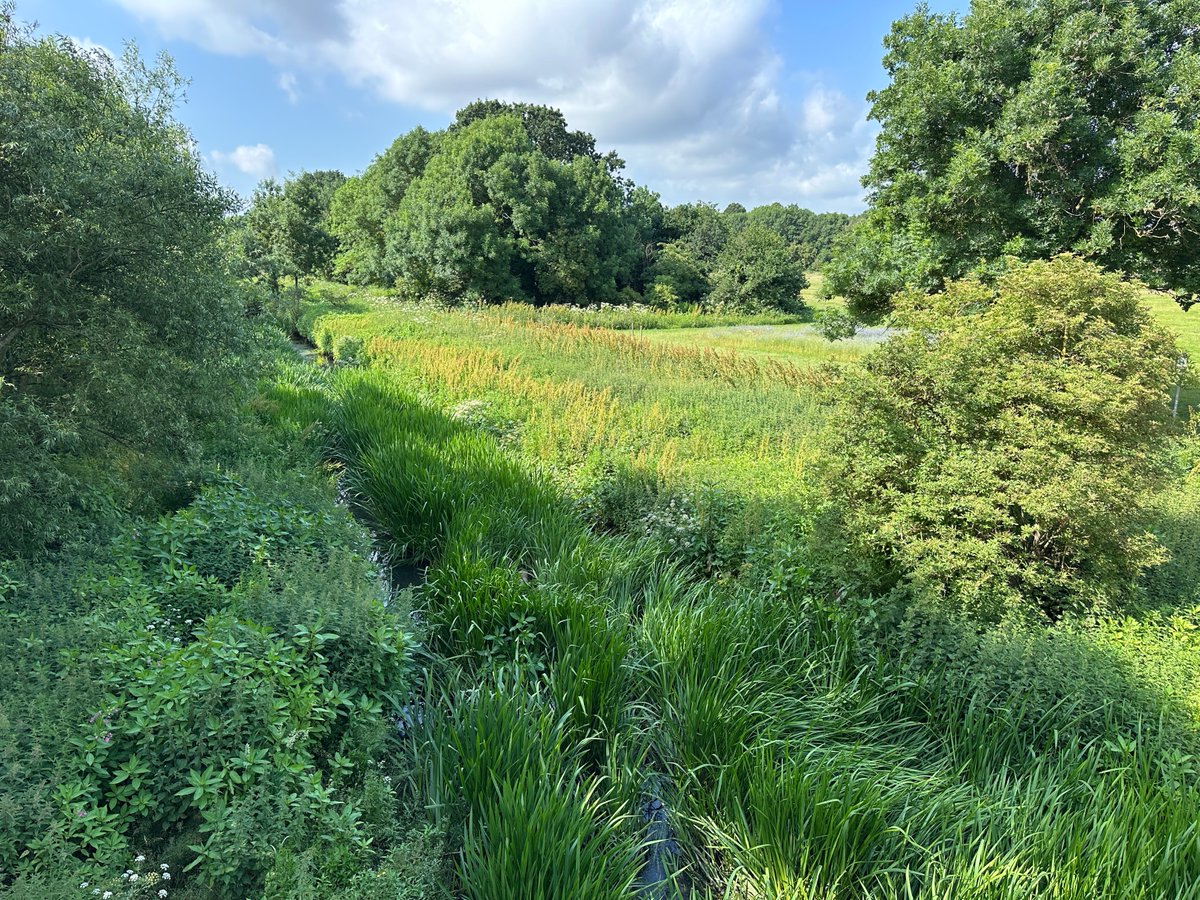 Crane Valley Partnership (@cvp_cranevalley) on Twitter photo #virtualtour of the Crane Valley: Crane river corridor at Cranford Park, viewed from Cranford Park Bridge, June 2025
<a href="/LondonNPC/">London National Park City*</a> <a href="/Hillingdon/">Hillingdon Council</a> <a href="/CranfordPark/">CranfordParkFriends</a>
<a href="/FriendsRivCrane/">FORCE</a> <a href="/habsandheritage/">Habitats & Heritage</a> <a href="/CPRELondon/">CPRE London</a>
<a href="/EnvAgencySE/">Environment AgencySE</a> <a href="/Thames_RvrsTrst/">Thames Rivers Trust</a> <a href="/ParksforLondon/">Parks for London</a> #virtualtour of the Crane Valley: Crane river corridor at Cranford Park, viewed from Cranford Park Bridge, June 2025
<a href="/LondonNPC/">London National Park City*</a> <a href="/Hillingdon/">Hillingdon Council</a> <a href="/CranfordPark/">CranfordParkFriends</a>
<a href="/FriendsRivCrane/">FORCE</a> <a href="/habsandheritage/">Habitats & Heritage</a> <a href="/CPRELondon/">CPRE London</a>
<a href="/EnvAgencySE/">Environment AgencySE</a> <a href="/Thames_RvrsTrst/">Thames Rivers Trust</a> <a href="/ParksforLondon/">Parks for London</a>