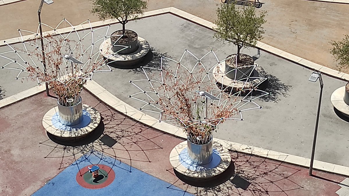 irma 🦉 tweet media