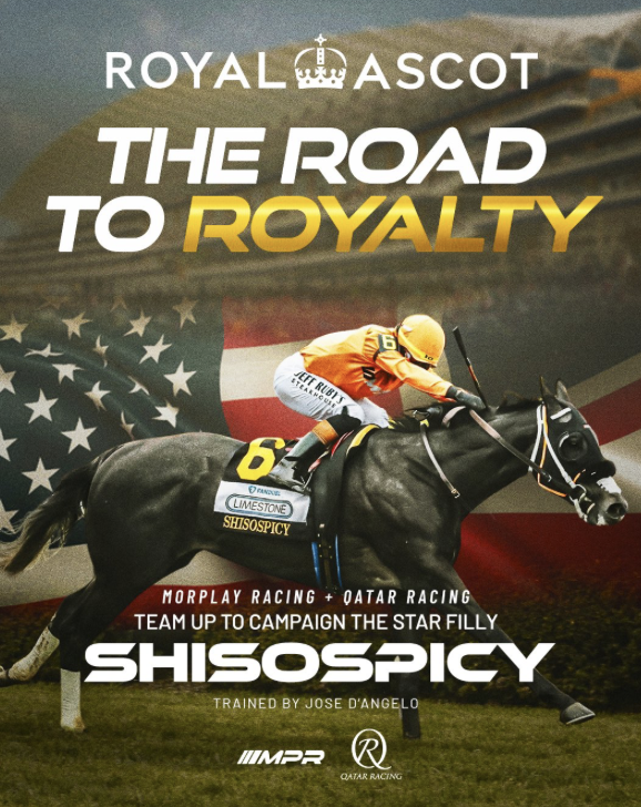 USASteeplechase's tweet photo. 💥 Friday $300 Cash Giveaway Alert! 💥

If American-trained Shisospicy wins the Commonwealth Cup (Group 1) at Royal Ascot this Friday One lucky punter could win $300 cash, courtesy of USA Racing Club! 🇺🇸💸

Here’s how to enter:

1⃣ Retweet this post
2⃣ Follow @USASteeplechase

Shisospicy, the 3-year-old daughter of Mitole and trained by Jose D’Angelo, is a Turf Sprint Stakes superstar! With 4 wins in 6 starts—including a blazing 4¼-length victory at the Mamzelle Stakes (Grade 3)—🐎🔥

#royalascot2025