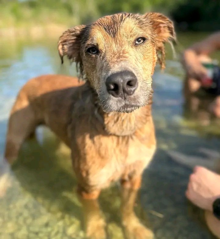 ryank9_07's tweet photo. 🐕🐶🐩🐾💦
https://t.co/ncBGtr15XJ
https://t.co/ncBGtr15XJ https://t.co/uAH6yLJBft