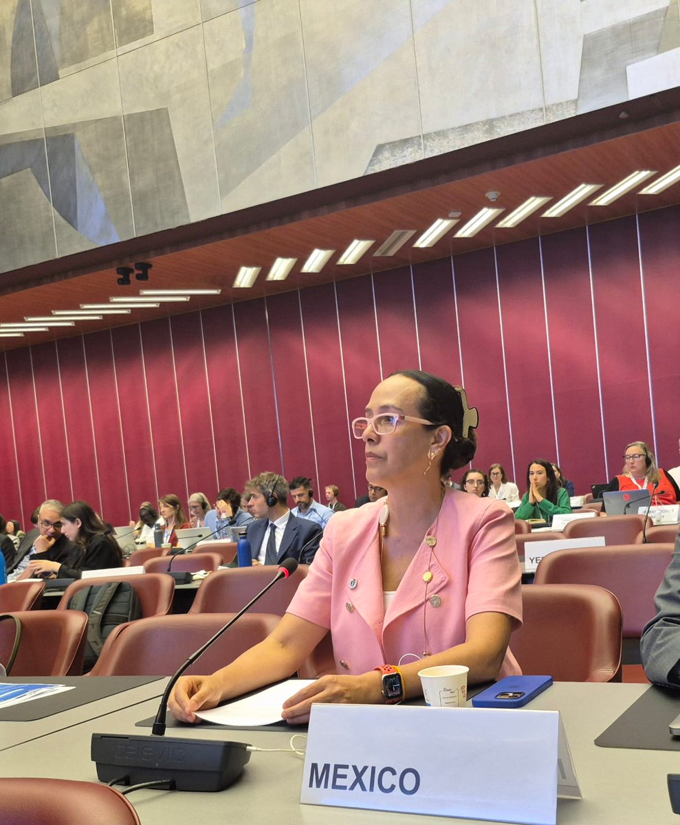 En la #MineBanIM 🇧🇷🇨🇴🇨🇷🇨🇱🇪🇨🇲🇽🇵🇦🇵🇪🇩🇴🇺🇾 renovamos nuestro firme e inquebrantable apoyo a la #APMBC, reconociendo sus importantes logros y haciendo un llamado al compromiso sostenido de toda la comunidad. Su implementación es importante en tiempos de paz, y aún más en la guerra.