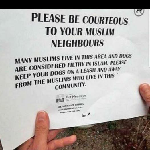 If you saw this on your regular British dog walk ....what would your answer be??