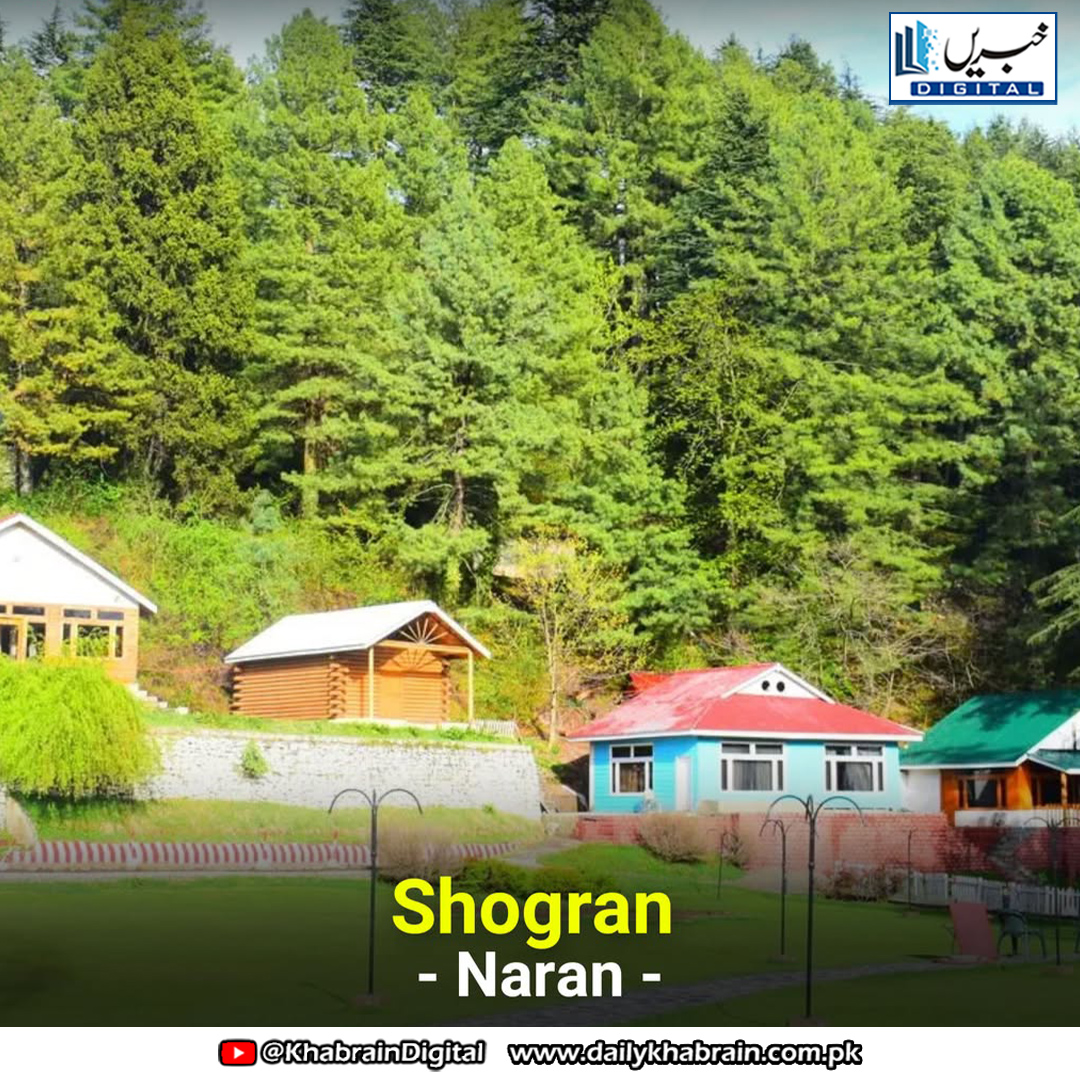 daily_khabrain's tweet photo. Where to go in Northern Pakistan
#khabraindigital #NorthernPakistan #AdventureAwaits #Shogran #BabusarTop #LulusarLake #SiriPaye #SaifUlMalook #AnsooLake #TravelPakistan #MountainEscape #NatureLovers #AlpineWonders https://t.co/QC6Tj5AZhg