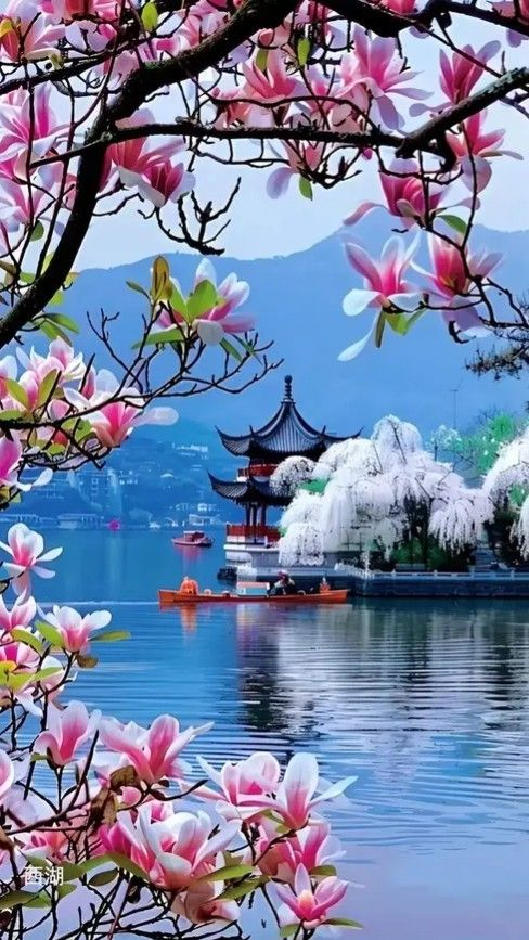 What a stunning view! The vibrant pink magnolia blossoms against the serene blue water and the elegant pagoda create a breathtaking scene. The reflection and distant mountains add a perfect touch of tranquility and beauty.🪷🌸🌼🌷🍀🎋☘️