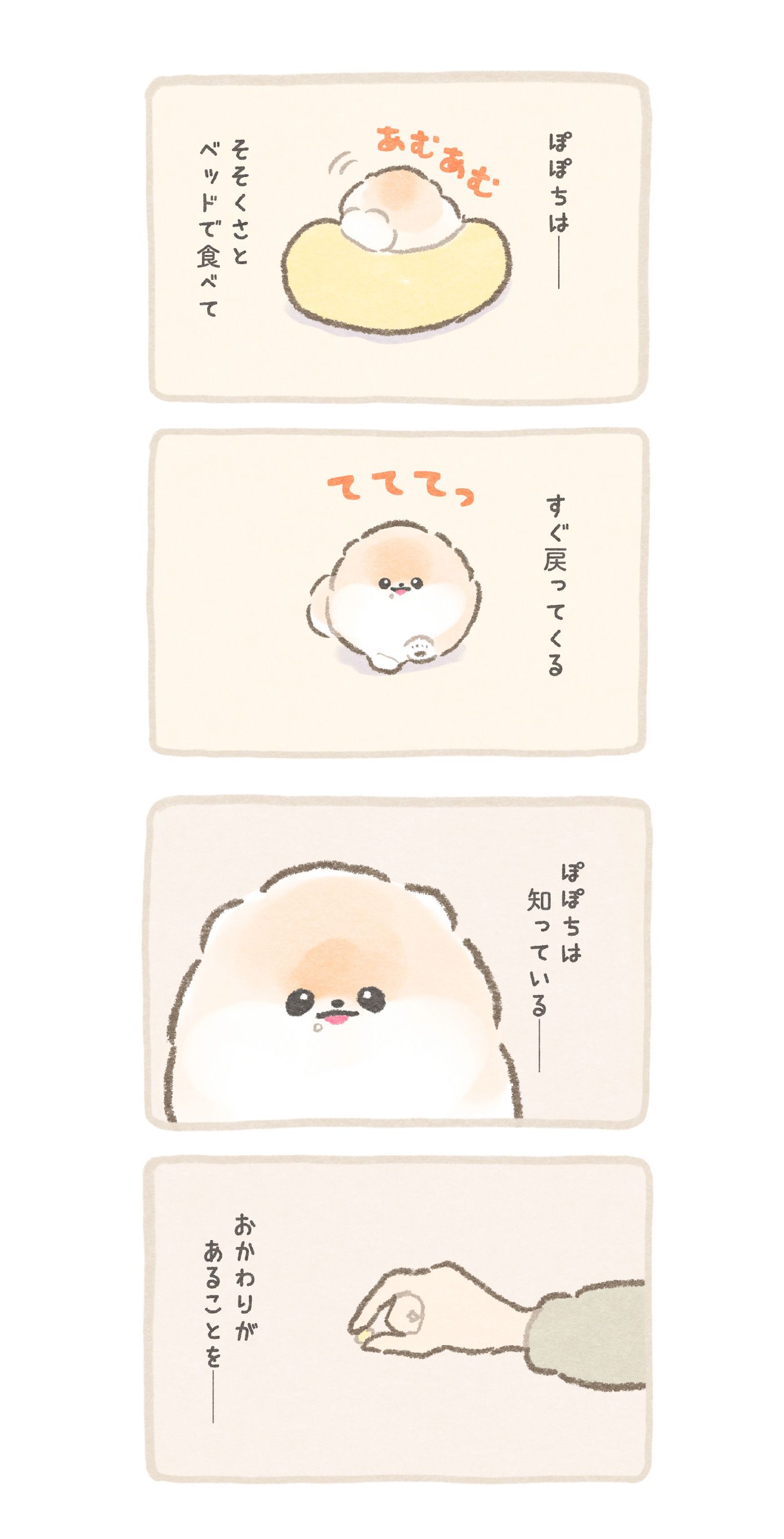 ぽこ︱ぽぽちの飼い主 on X: 