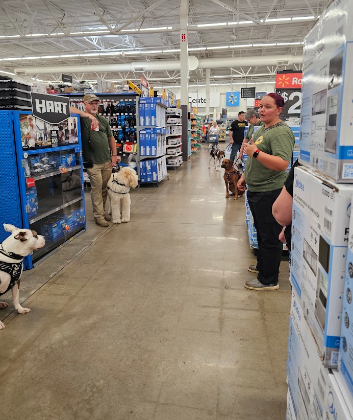 84DogsHelp's tweet image. We&apos;re proud to introduce our &apos;No Veteran Left Behind&apos; program! 🌟 This initiative offers essential services to veterans who need it most. Discover how you can help or get involved! 👉 wix.to/dCy6wXt #VeteransSupport #NoVeteranLeftBehind #WorkingDogsForVets