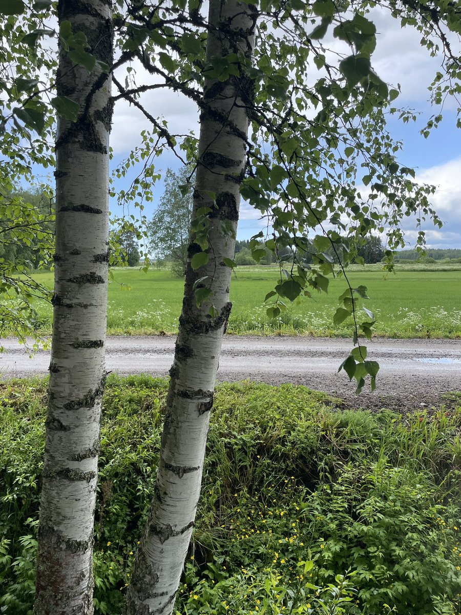 anttikaikkonen's tweet image. Hyvää juhannusta! 🌤️🇫🇮
