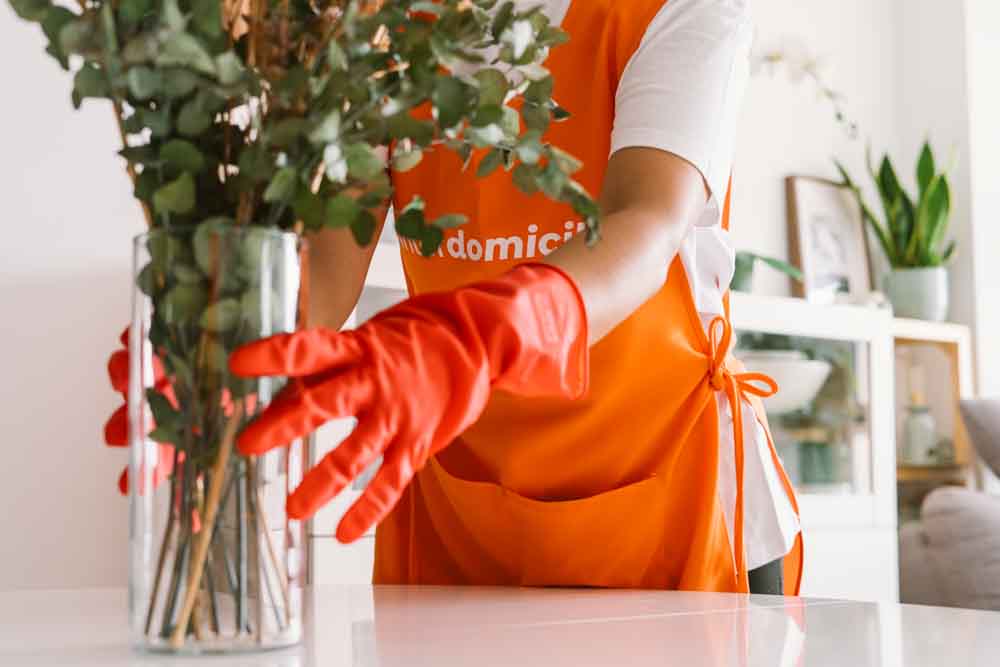 Las franquicias de autoempleo son una forma real de emprender con respaldo. En AFA apoyamos modelos como Interdomicilio, con inversión accesible y acompañamiento. Con el impulso del IAF, este tipo de franquicia sigue creciendo en Aragón.