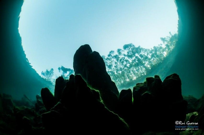 Dive in a Dam - Exclusive Dives
When your passion for diving takes you to different underwater worlds...
portugaldive.com/exclusive-dive…
#portugaldive #divinginportugal
<a href="/realpattayadive/">Real Divers Thailand</a> <a href="/GILIIDC/">GILI IDC-Holly</a> <a href="/dive_bunnies/">Dive Bunnies</a> <a href="/girlsthatscuba/">Girls that Scuba</a> <a href="/SDIdivers/">SDI Divers</a> <a href="/TDIdivers/">TDI Divers</a>