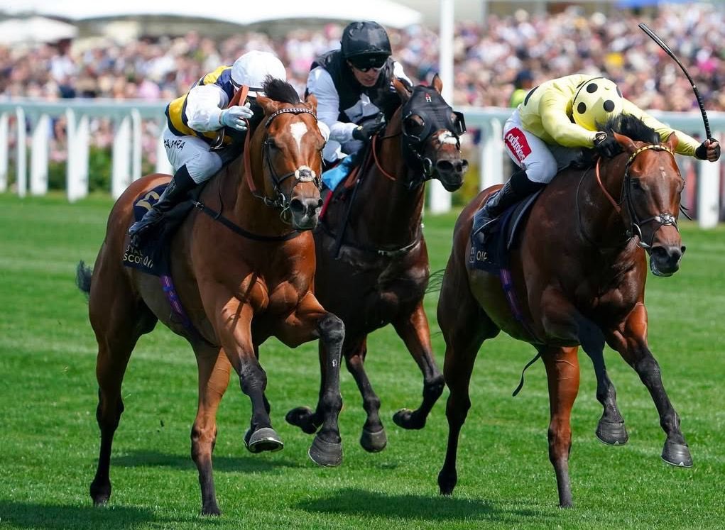 alghreban_'s tweet photo. إنجاز مشرف لـ Cairo🌟

حلّ ثالثً في شوط Queen Anne Stakes 
Group1 لمسافة 1600م،
احد اقوى سباقات بريطانيا لـ جياد 4YO plus في مضمار 🎩Royal Ascot🇬🇧

 أشراف المدربه @ahaynesracing 
قيادة @SilvDSousa 

#RoyalAscot https://t.co/houPbQgWdK
