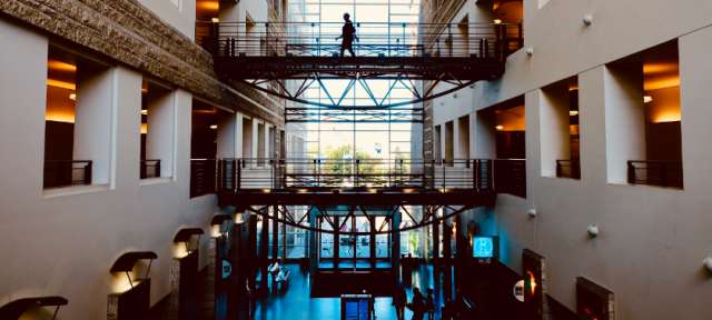 Ottawa Wants Real City Hall Leadership bulldogottawa.com/ottawa-wants-r… #ottnews #myottawa #ottawapolitics #613news