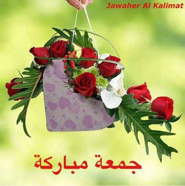 بعدد حروف"القرآن".. وجمال كعبة"الرحمن" أدعو الله أن: أن يبارك لكم في"ايامكم ومالكم" وأن يبلغكم"مرادكم" وينور قلوبكم"بالإيمان" ويزيدكم عافية"وإطمئنان" ويوهبك شفاعة حبيب"الرحمن" {اللهم آآآآآآمين}.🌹
جمعتكم طيبة 🌸