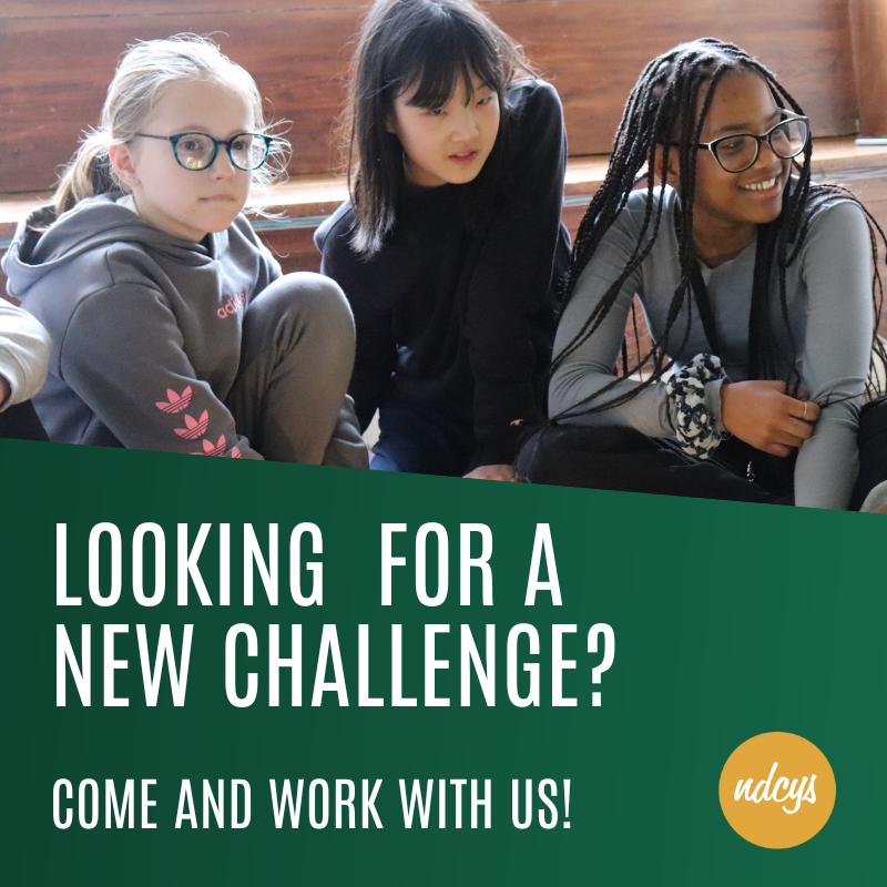 NDCYS - The Briars tweet media