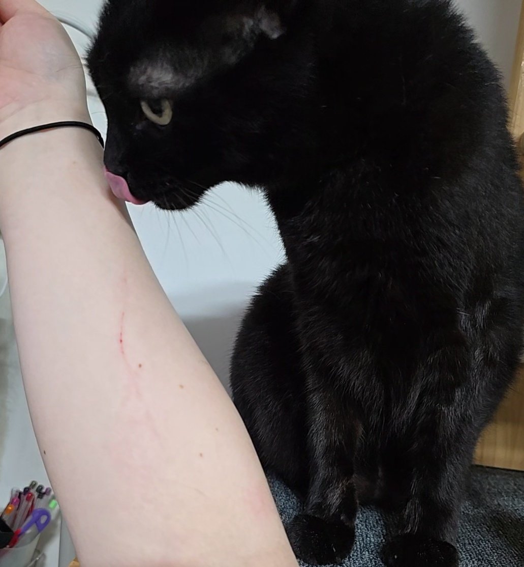 옜날에 어떤 발톱긴 고양이가 잇엇은

발톱이 많이 길었은

인간 벅 긁엇고 미안하다고 핥았은