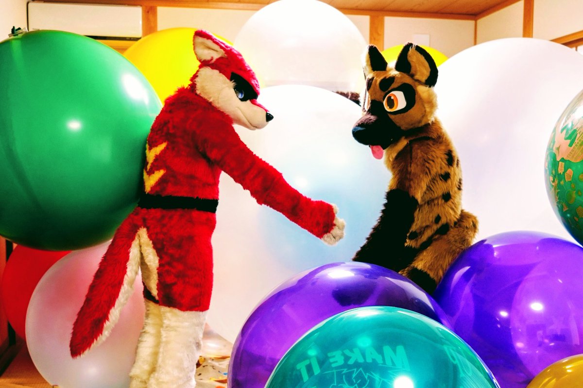 #FursuitFriday

フレアちゃんと🎈遊び((o(｡&gt;ω&lt;｡)o))🎈