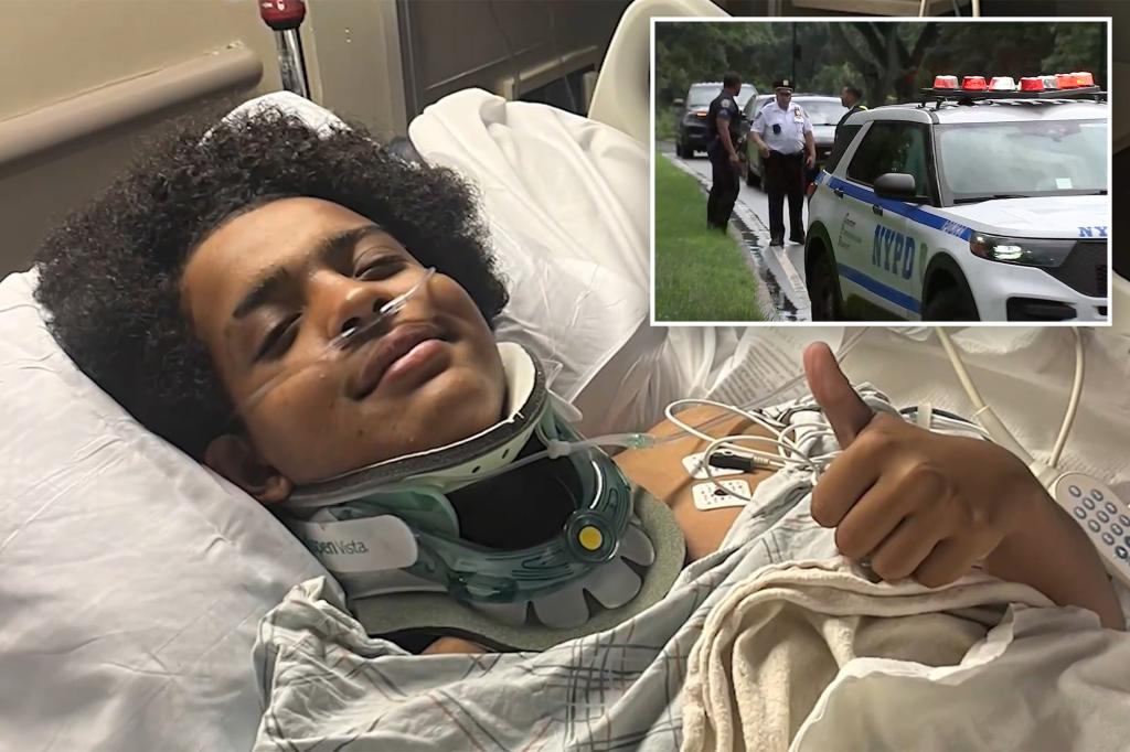 NYC teen describes horrifying moment he was struck by lightning in Central Park: ‘Apparently, I’m pretty lucky’ trib.al/beTsu2C