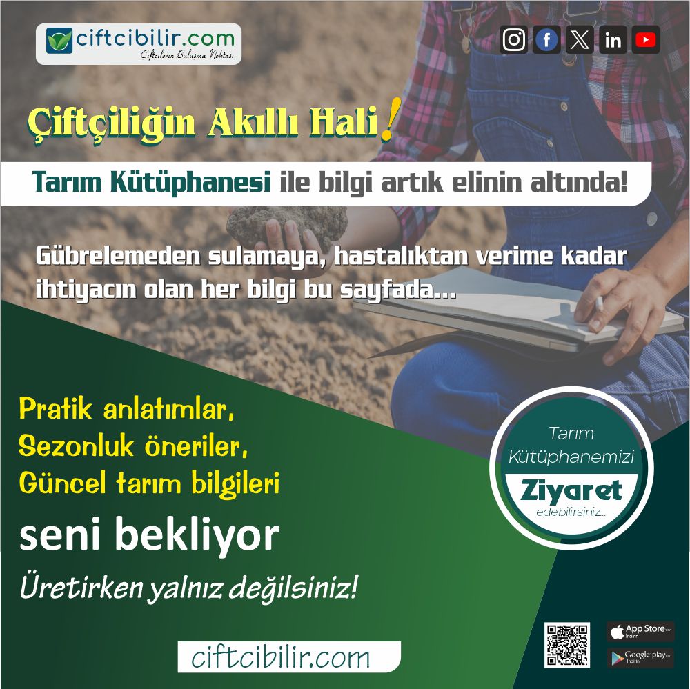 Tarım kütüphanesi ile pratik bilgiler elinizin altında!

İlanlarınızı Sitemizde Ücretsiz Yayınlayabilirsiniz...
ciftcibilir.com