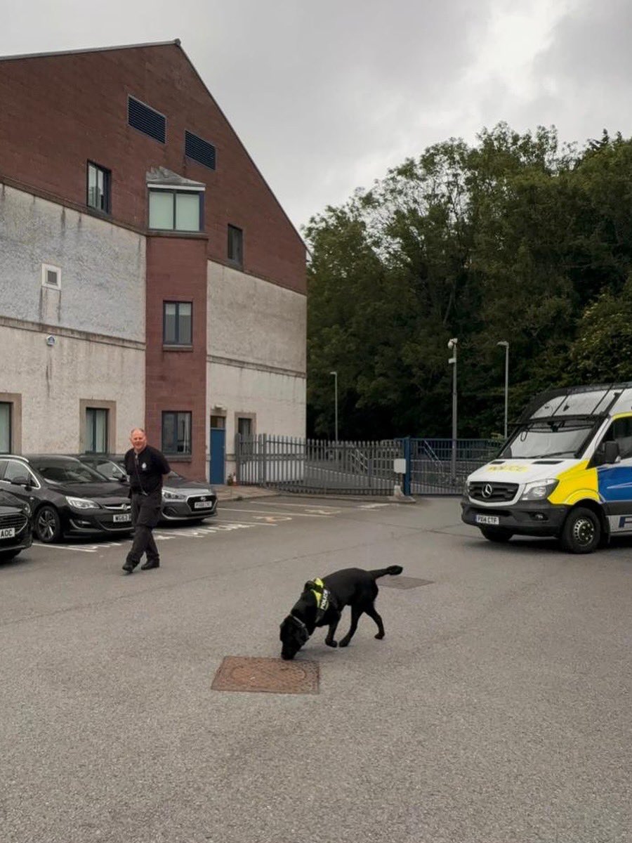 🐕 Today is National Bring Your Dog to Work Day!
🚔 Not every dog gets to come to work but ours are on duty every day. 
👏 Today we’re giving a special shoutout to our incredible dogs. From our GP to specialist search dogs, they play a vital role in Cumbria Police.