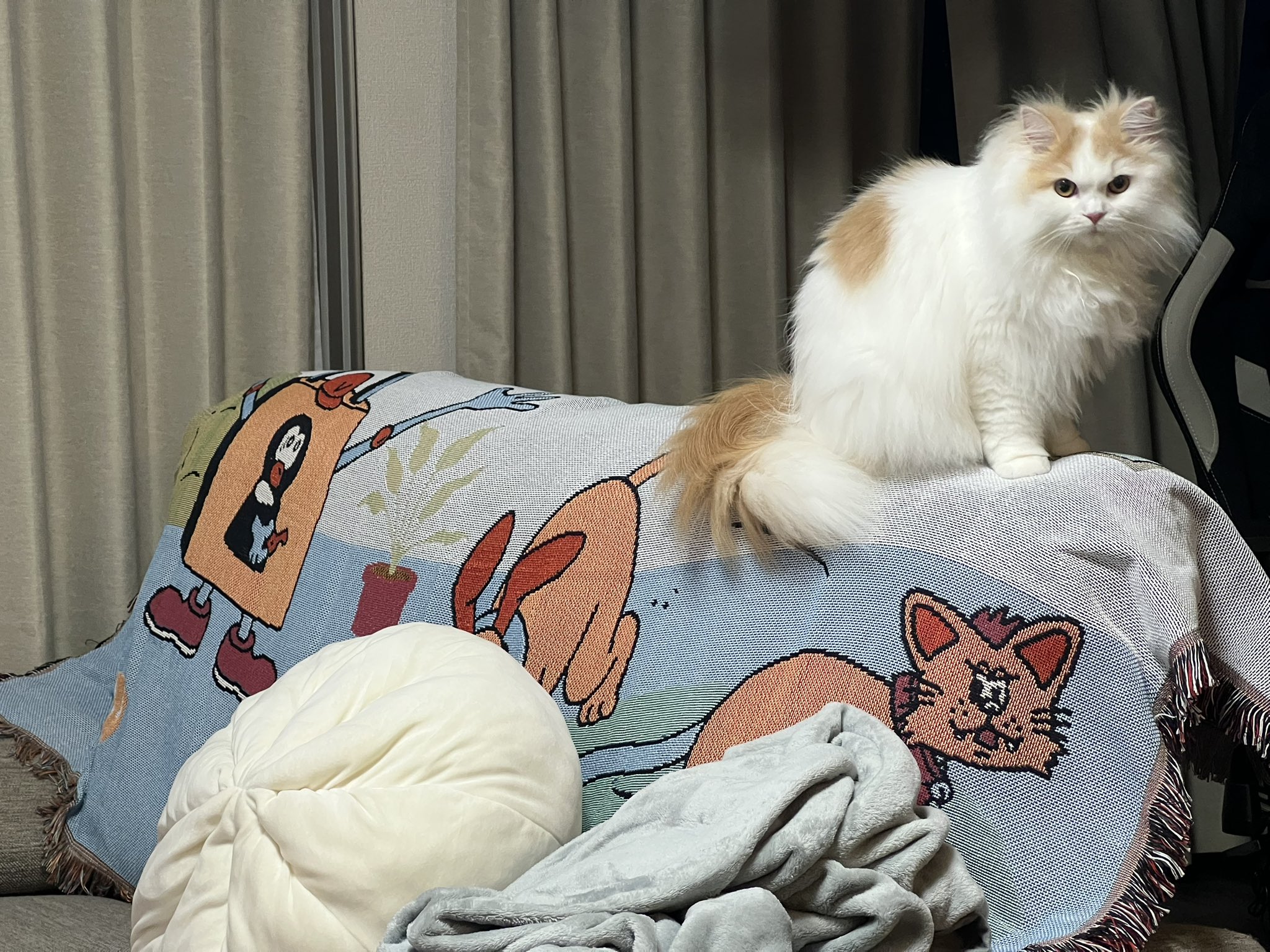 数量限定！在庫処分セール 売り切れ御免 VAULTROOM LIVING BLANKET ブランケット アウトドア寝具