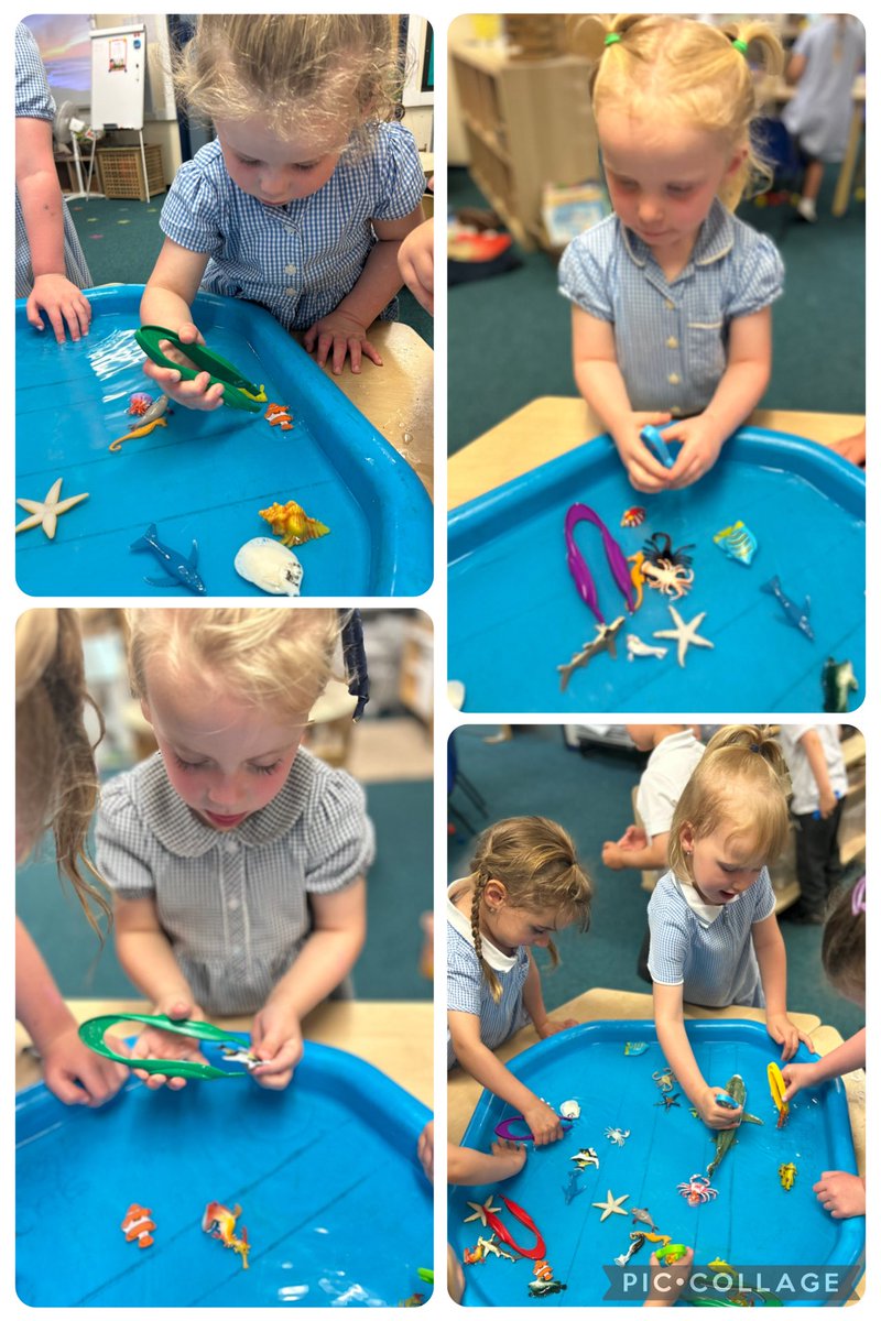 GrangeMrsS's tweet photo. Nursery have enjoyed using their tweezers to pick up the mini sea Animals. #EYFS #FineMotorSkills #SeaAnimals @GrangeMissWri @GrangeMissA @GrangeMrsMcG https://t.co/7SxrXWegYz