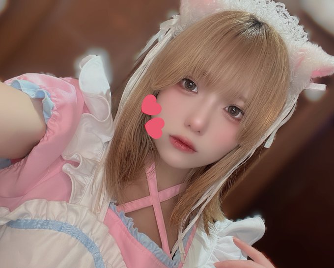 れいちょる✖️ネコ✖️コンカフェのツイート