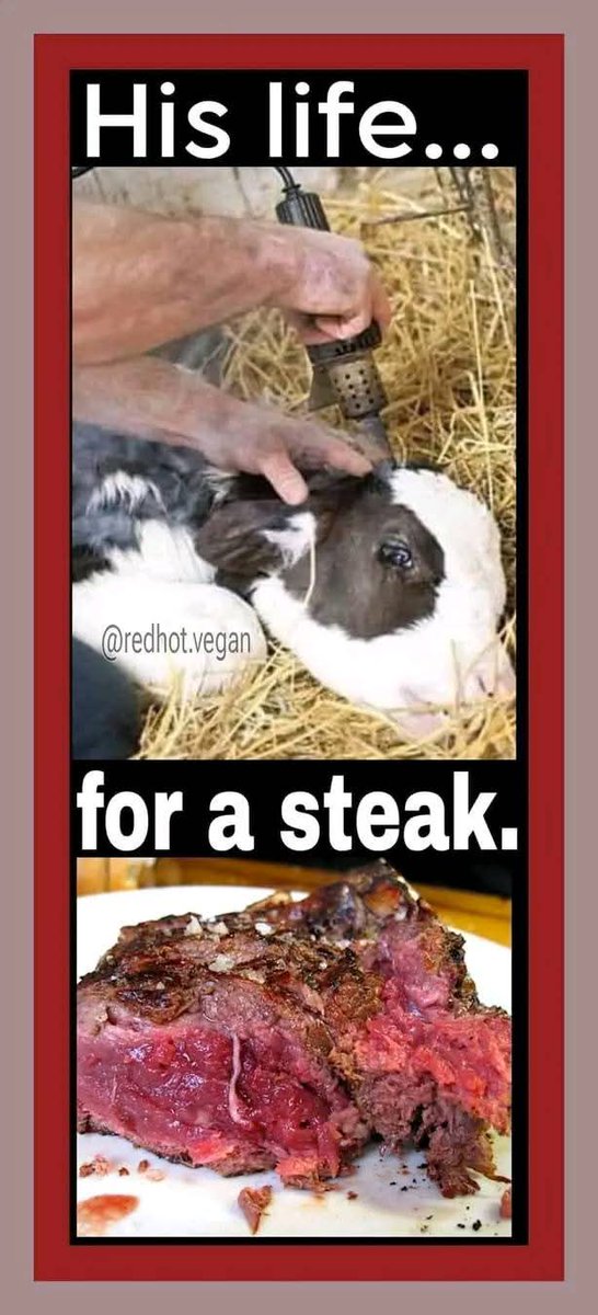 If you buy these butchered and innocent wee souls and have seen this then you truly are heartless and soulless