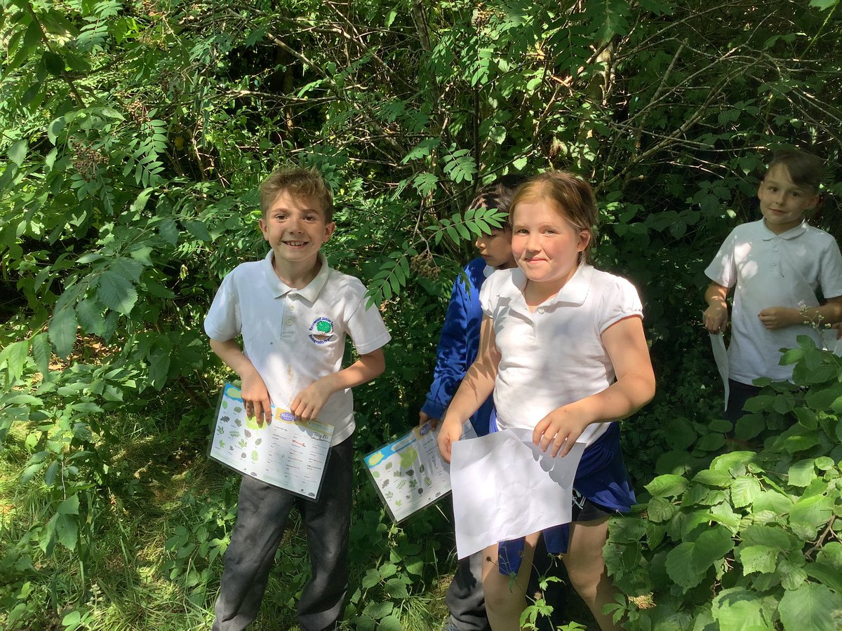 ReinwoodJuniors's tweet photo. #RJS4B really enjoyed exploring the wildlife area in Science this week, as we continue to learn about grouping living things and using classification keys. #RJSScience https://t.co/cuiNRke4dI