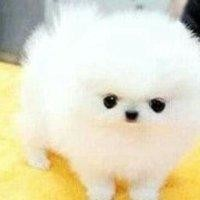 Lila__Wilson's tweet photo. This look will melt people https://t.co/MV3uDlF37B