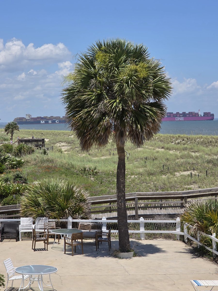 P2Epro.Btc tweet media