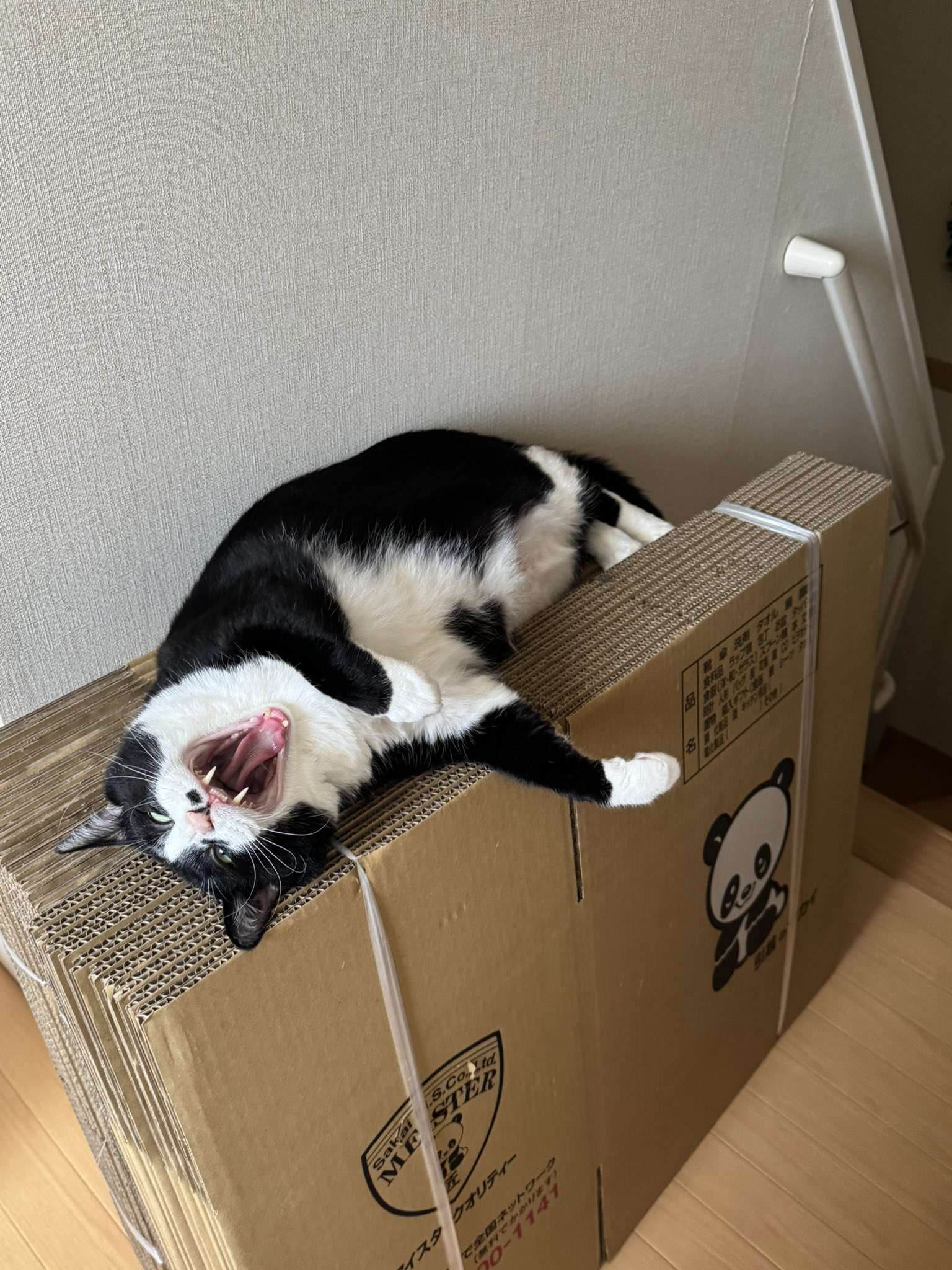 激レア】おにんぎょ屋 葉 ちび猫 ①