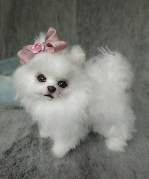 Lila__Wilson's tweet photo. This is a cute little princess https://t.co/bnmb9qeNKk