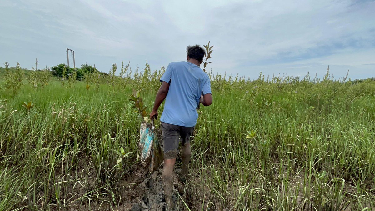 Soumya Ranjan Biswal 🇺🇳🇮🇳 tweet media