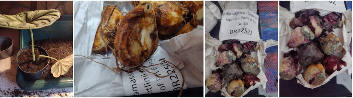 PERSAUD67 tweet media