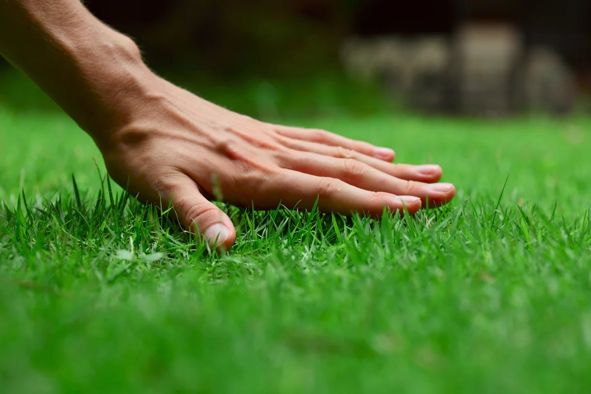 Touch the grass again <a href="/opensea/">OpenSea</a>
$SEA #openseatouchgrass