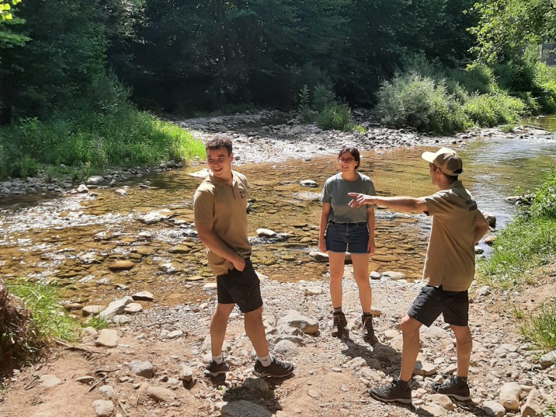 Diputació de Girona tweet media