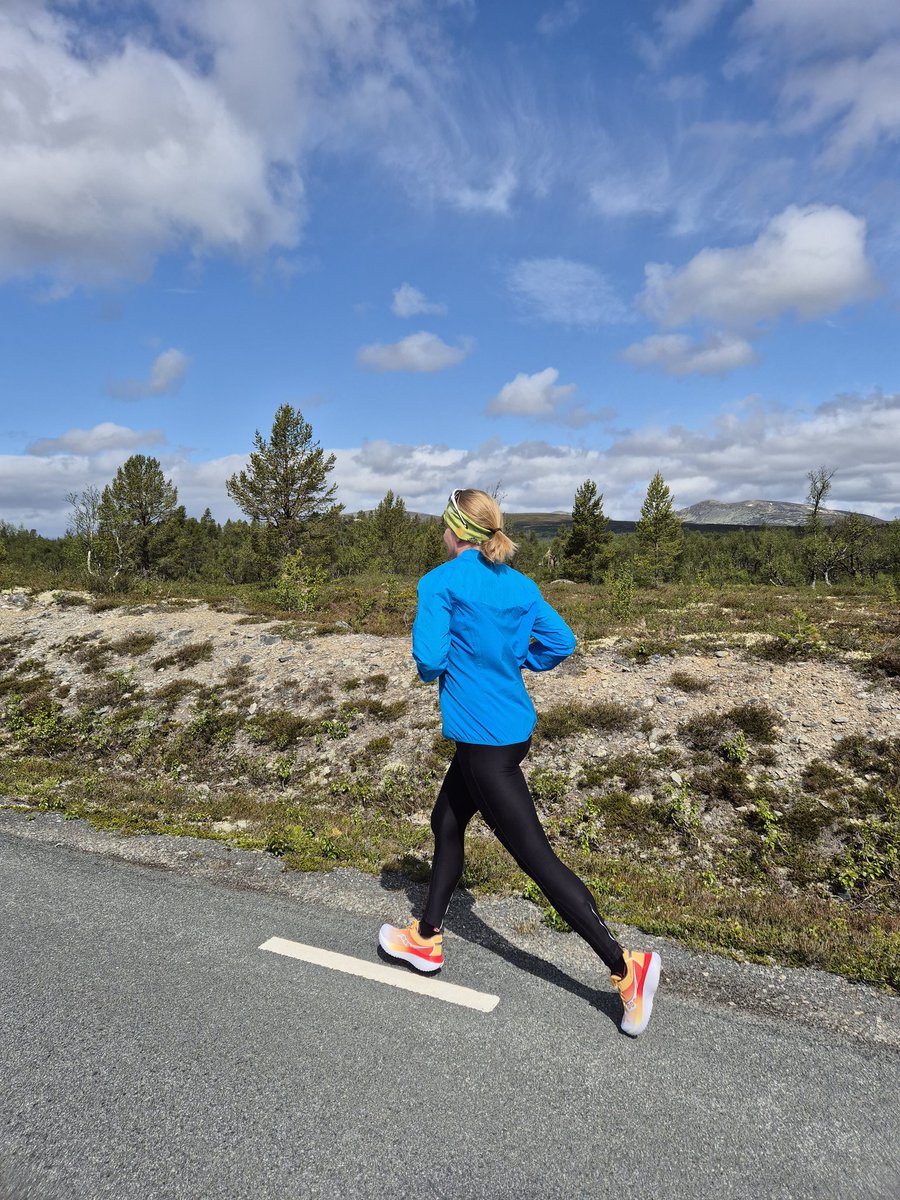 eperjon's tweet image. Happy Midsummer greetings to my sports science mentors, @feelthebyrn1 @Alan_Couzens @StephenSeiler !
We celebrate midsummer in Grövelsjön, on the border between Norway and Sweden, with a run and traditional lunch with herring, fresh potatoes and some accessories.