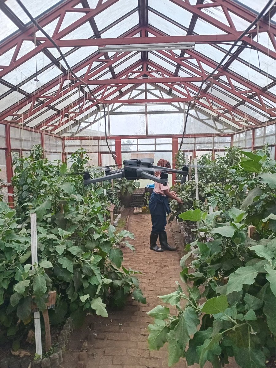 Jean D'amour NGIRUWONSANGA (@djean90675) on Twitter photo We agriTech Engineer <a href="/Uni_Rwanda/">University of Rwanda</a> <a href="/UR_CAVM/">UR-CAVM</a> <a href="/Solaragritech6/">SOLAR AGRITECH LTD</a>
we’re harnessing the power of drones and smart AgriTech to revolutionize sustainable farming through precision, efficiency, and solar innovation. We agriTech Engineer <a href="/Uni_Rwanda/">University of Rwanda</a> <a href="/UR_CAVM/">UR-CAVM</a> <a href="/Solaragritech6/">SOLAR AGRITECH LTD</a>
we’re harnessing the power of drones and smart AgriTech to revolutionize sustainable farming through precision, efficiency, and solar innovation.