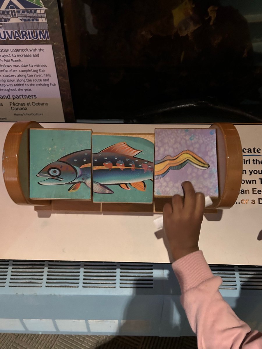 Dr. Anne Burke & the Discovery Play Centre (@dranneburke1) on Twitter photo As part of my environmental and climate change research <a href="/StTeresasSchoo1/">St. Teresa's School</a> we brought our Grade 1s to the <a href="/Fluvarium/">The Fluvarium</a> . Many of the children were fascinated by this simple flip book, that allowed them to create their own freshwater fish. As part of my environmental and climate change research <a href="/StTeresasSchoo1/">St. Teresa's School</a> we brought our Grade 1s to the <a href="/Fluvarium/">The Fluvarium</a> . Many of the children were fascinated by this simple flip book, that allowed them to create their own freshwater fish.