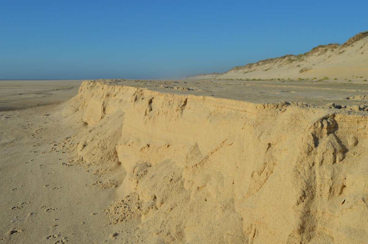 destan37239's tweet image. "SQL Analysts 📊 Ever wonder what sandworms and SQL queries have in common? Join us on a data expedition with @monad_xyz to navigate the spicy data deserts of the crypto world! 🌌💻 #DuneAnalytics #SQLFun"