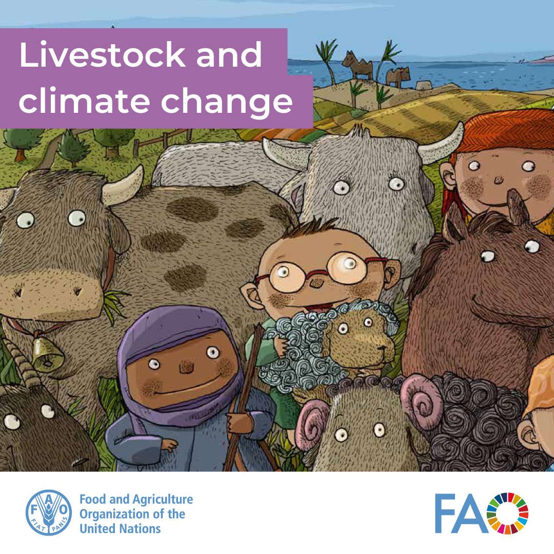 FAO Livestock (@faolivestock) on Twitter photo Livestock is both a contributor to & a victim of climate change. The good news is that sustainable practices can help address these challenges.
If you're looking to explain this to kids or students, the <a href="/FAO/">Food and Agriculture Organization</a> activity book makes it simple and engaging.
👉 doi.org/10.4060/cd2619… Livestock is both a contributor to & a victim of climate change. The good news is that sustainable practices can help address these challenges.
If you're looking to explain this to kids or students, the <a href="/FAO/">Food and Agriculture Organization</a> activity book makes it simple and engaging.
👉 doi.org/10.4060/cd2619…