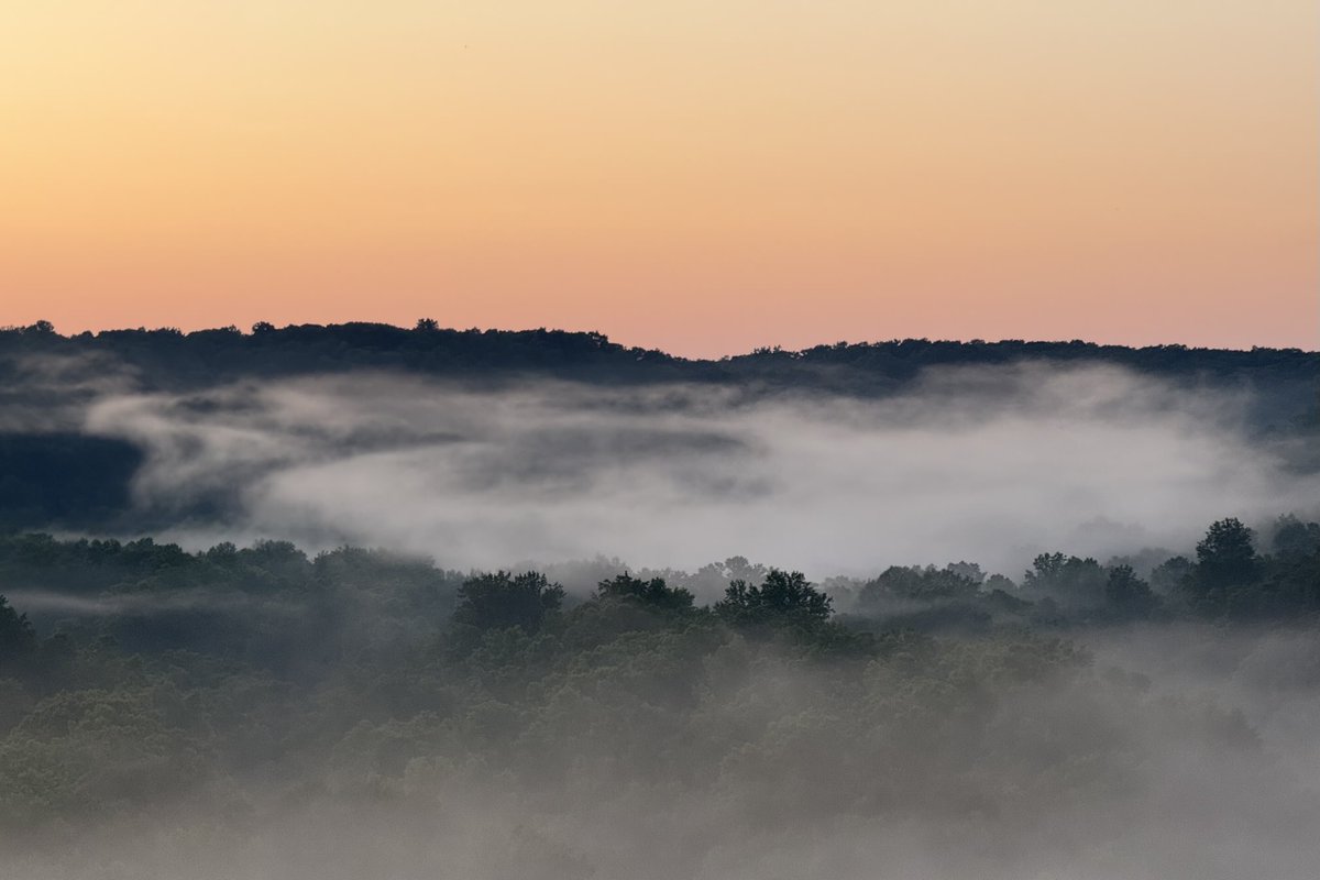 Sam Oldenburg tweet media