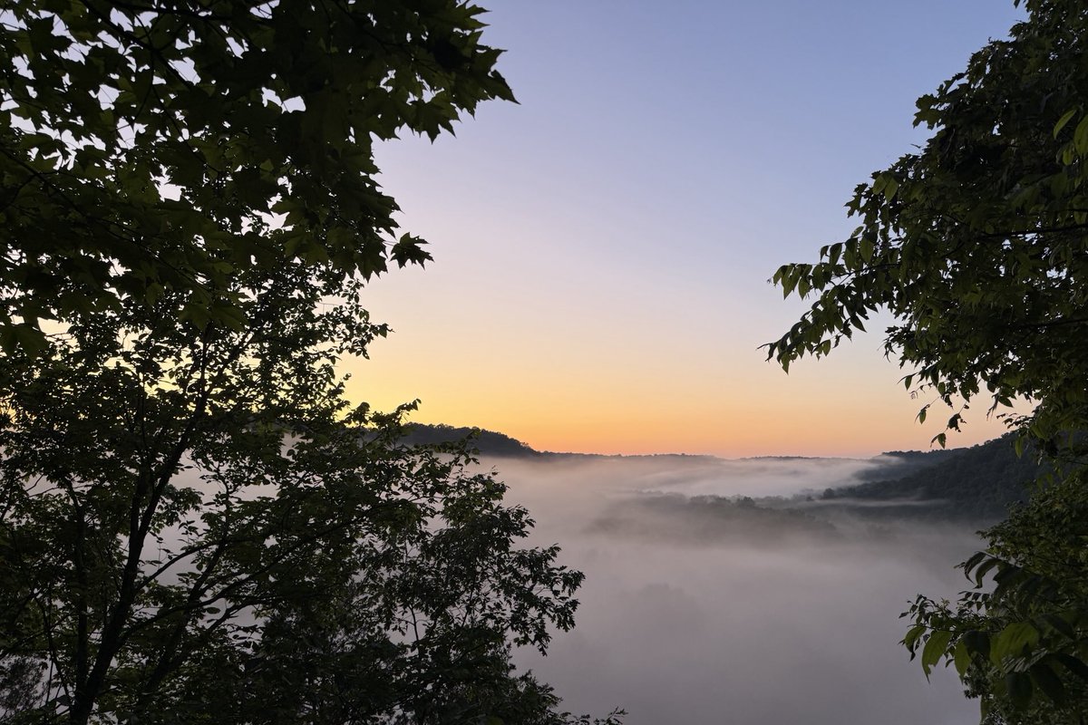 Sam Oldenburg tweet media