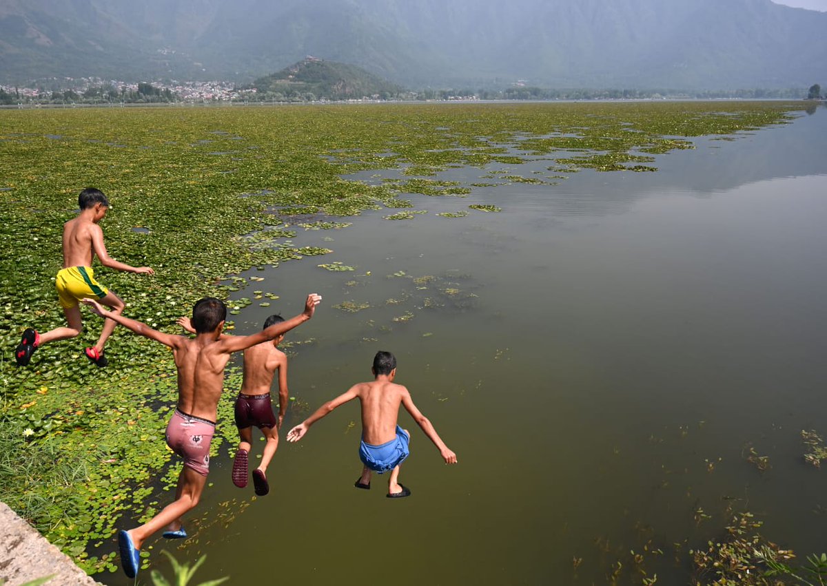 Hindustan Times (@httweets) on Twitter photo #InPhotos | ☀️💦 Boys beat the heat with a splash in Srinagar’s Dal Lake on a hot summer day.
📸: <a href="/waseem_andrabi/">Waseem Andrabi وسیم</a> /Hindustan Times #InPhotos | ☀️💦 Boys beat the heat with a splash in Srinagar’s Dal Lake on a hot summer day.
📸: <a href="/waseem_andrabi/">Waseem Andrabi وسیم</a> /Hindustan Times