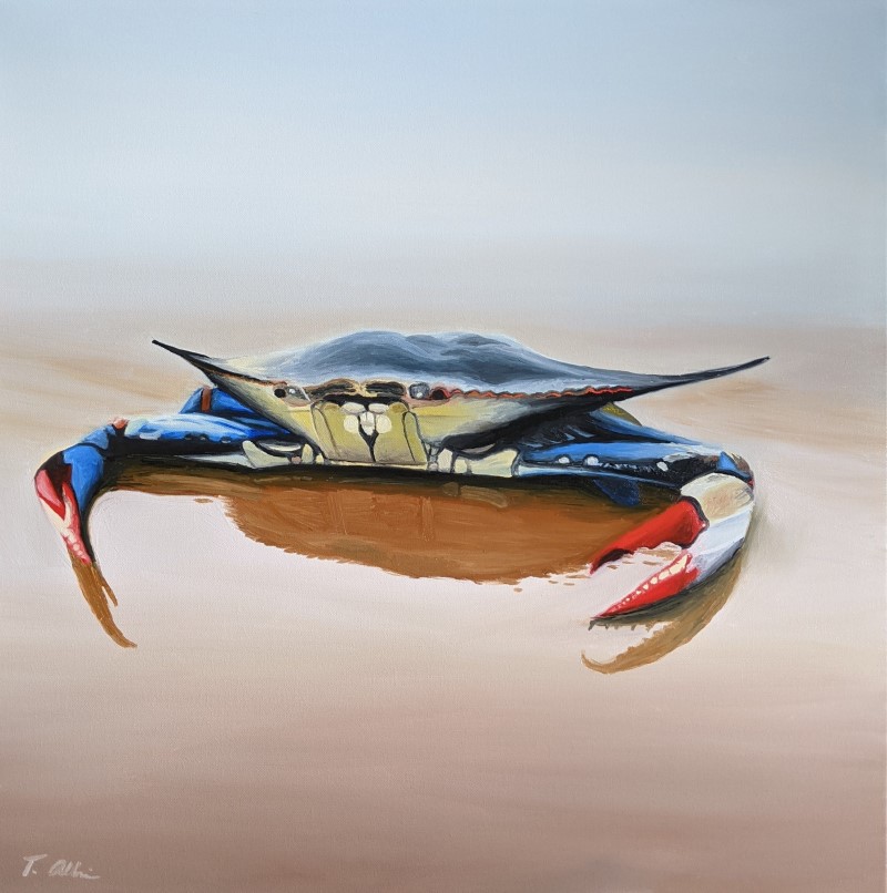 Tom Alberi tweet media